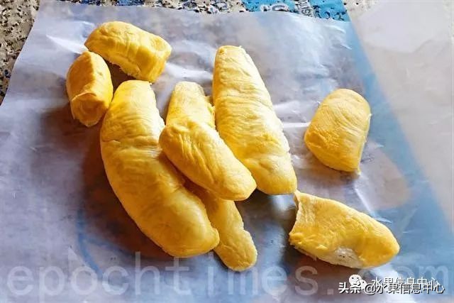 泰国最好的榴莲是什么榴莲,泰国榴莲与越南榴莲