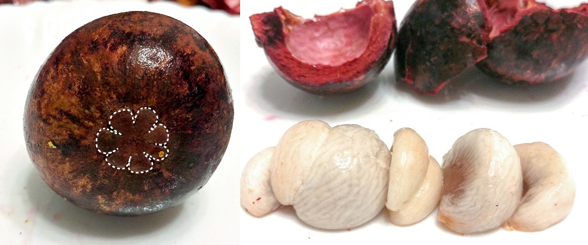 山竹是低糖还是高糖水果,山竹是减肥还是长胖的