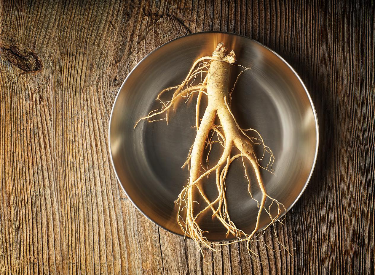 正官庄高丽参和长白山参哪个好,追根溯源寻根