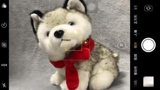 手机摄影拍照教程从零开始,手机拍照技巧和手机摄影分享