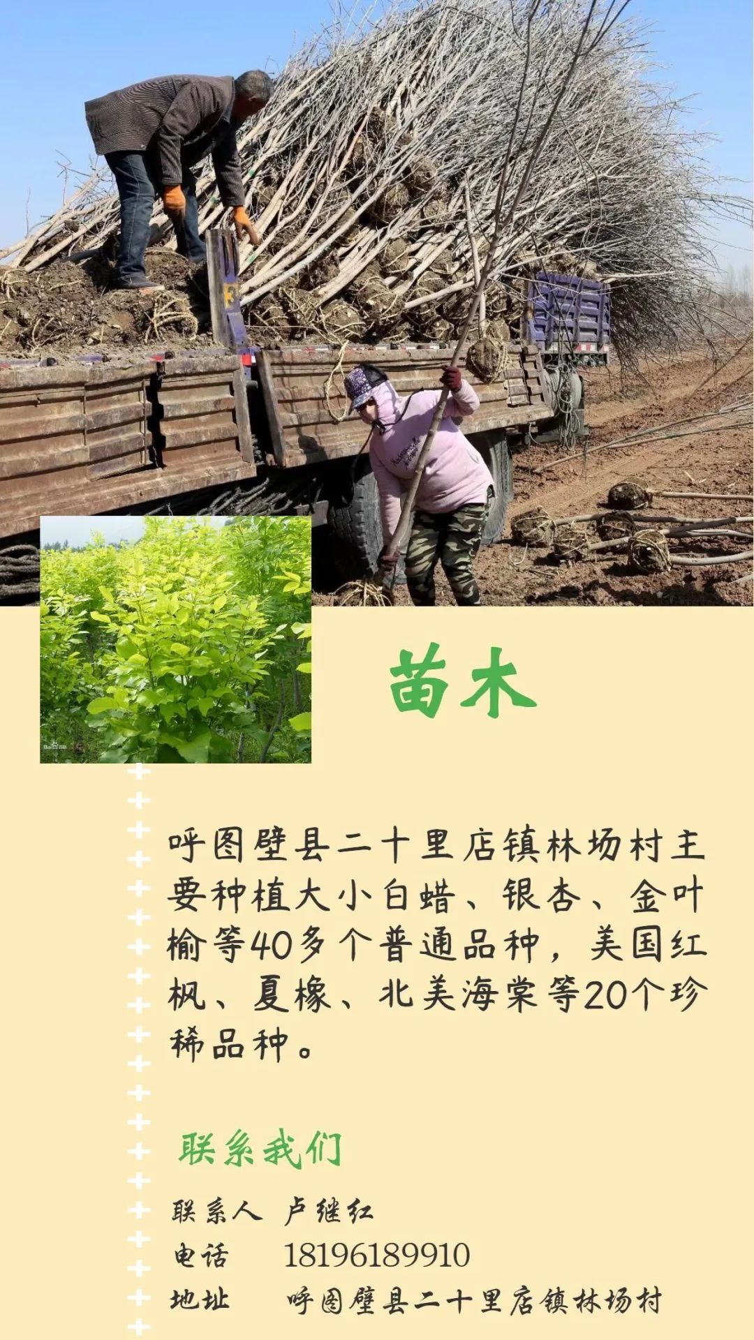 呼图壁县第一书记,昌吉呼图壁县委书记