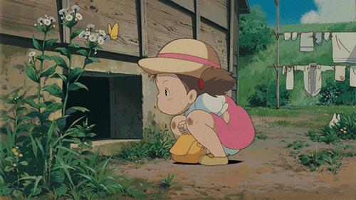 宫崎骏小龙猫的图片可以涂颜色,宫崎骏龙猫可爱视频