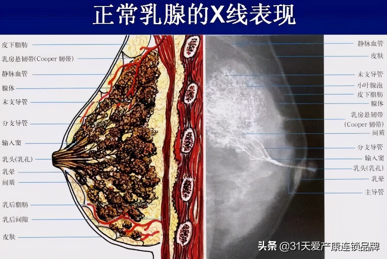 新手妈妈：史上最全乳房护理攻略