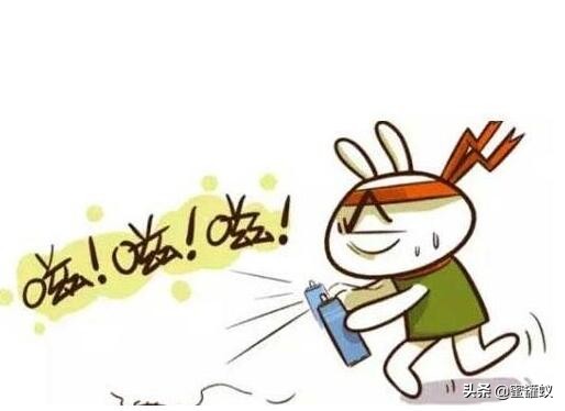 搬家的时候会不会把蟑螂带到新家,搬家会带走跳蚤吗