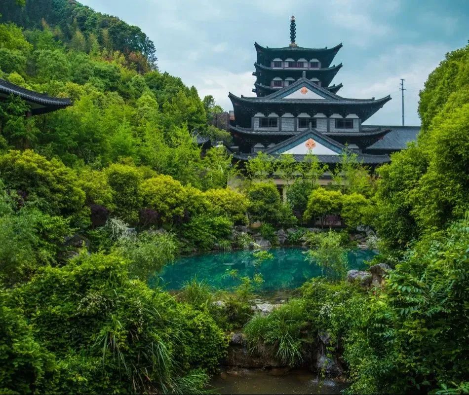 衢州为啥没有衢州鸭头,衢州鸭头不一样