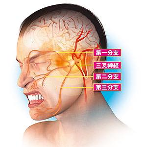 带你了解健康最重要,带你了解最全面的感觉统合知识