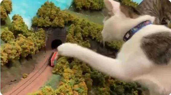 纪念吴孟达的外景视频,吴孟达纪念片完整版