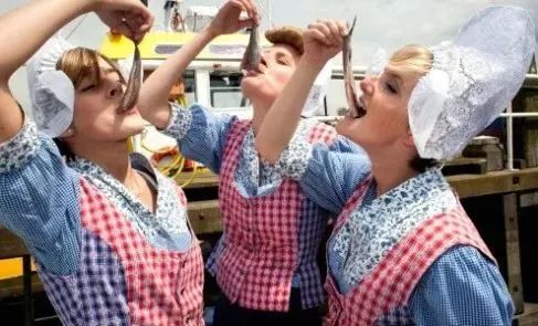 明日方舟麦哲伦探险组,明日方舟麦哲伦极地之旅