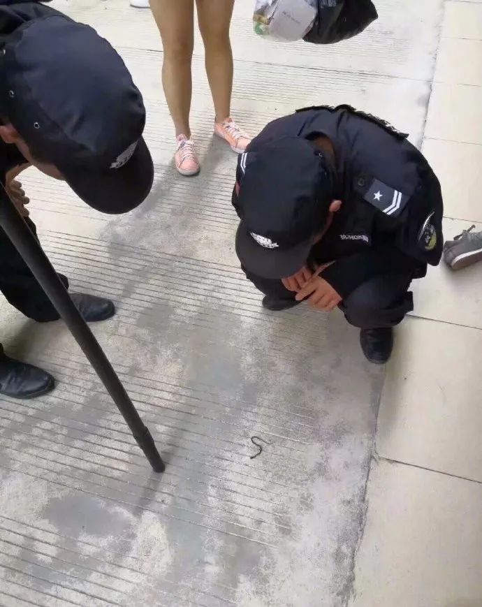 飞机杯被奶奶用来当袜子，这也太惨了吧