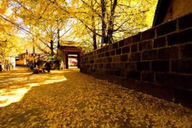 1月带娃云南小众旅游,云南小众旅游2日游