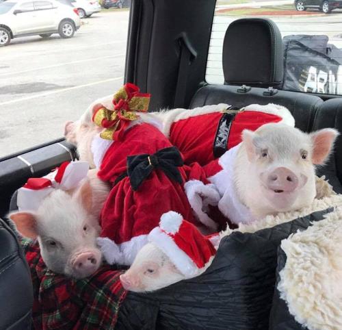 不如，这次来这儿重新定义一下“周末”怎么样？