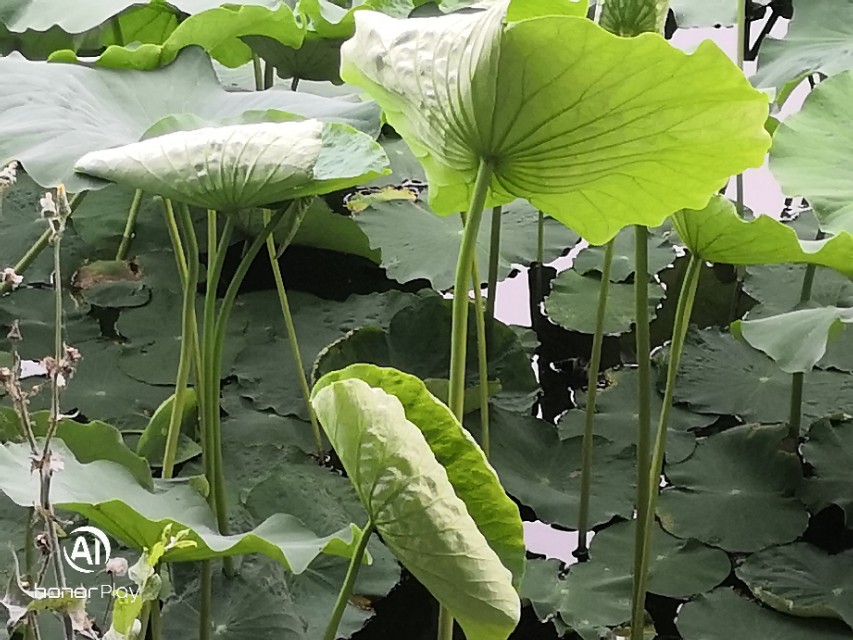 致永远回不去的童年六一儿童节,六一特辑致我们终将逝去的童年
