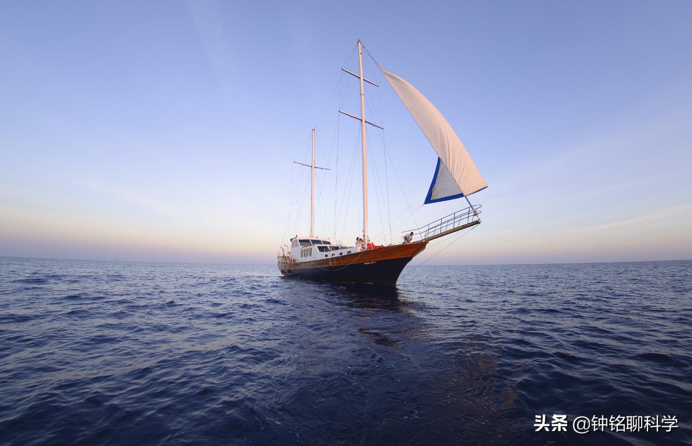 蛇中熊猫莽山烙铁头,莽山烙铁头蛇全球仅有500条