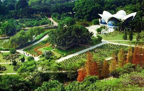 深圳花海公园推荐景点有哪些,深圳花海公园地址在哪里