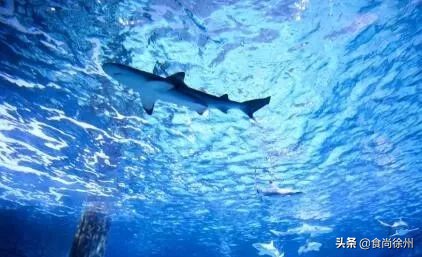 深夜重磅消息,深夜突发事件新闻