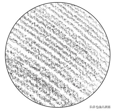 素描在绘画里的地位,素描绘画的前景