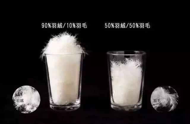 你以为代购都一样？忍不住就TNF说一说