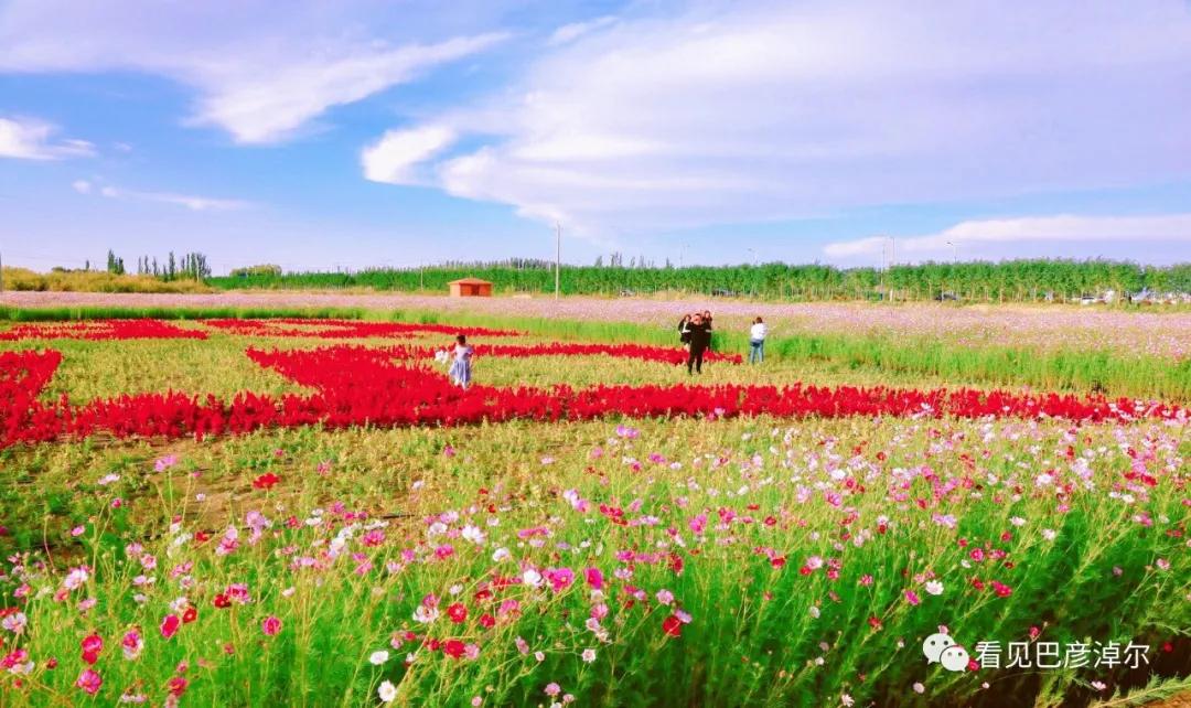 来认识一个不一样的我翻译,来认识不一样的滑雪