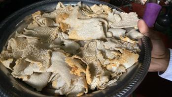 谢谢你们，我的生活很好，学习很棒