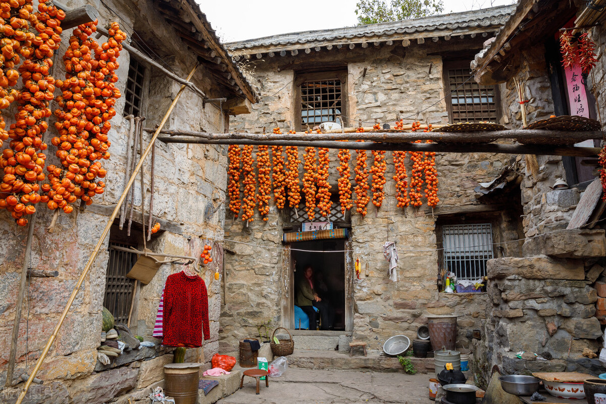 散文寻一处静谧,独居山林的隐居生活散文