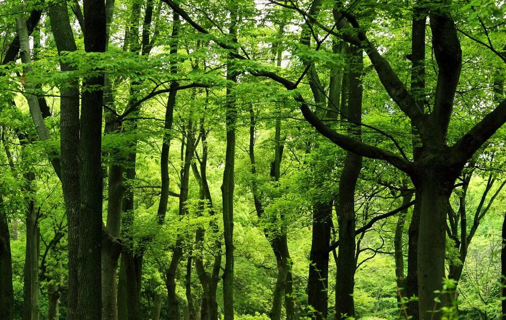 鼓城山-七里峡景区拍了拍你，国庆出游不用愁，收藏此文任君游