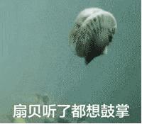 扇贝没了獐子岛,獐子岛扇贝逃跑科普