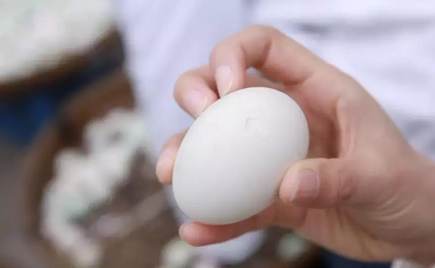 传承了280多年!这道来自嘉兴平湖的奇特美食,你吃过吗?