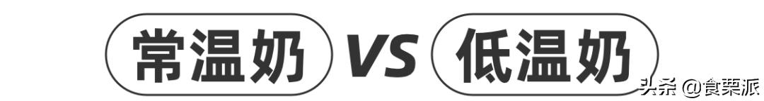 喝了12瓶牛奶,喝过最好喝的一款牛奶