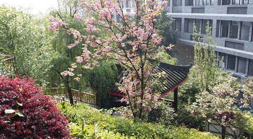 初中报考铁路学校和高中有啥区别,选择铁道学校有什么好处