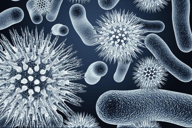 肛瘘不想手术怎么办,肛瘘手术快愈合了为什么有点痛