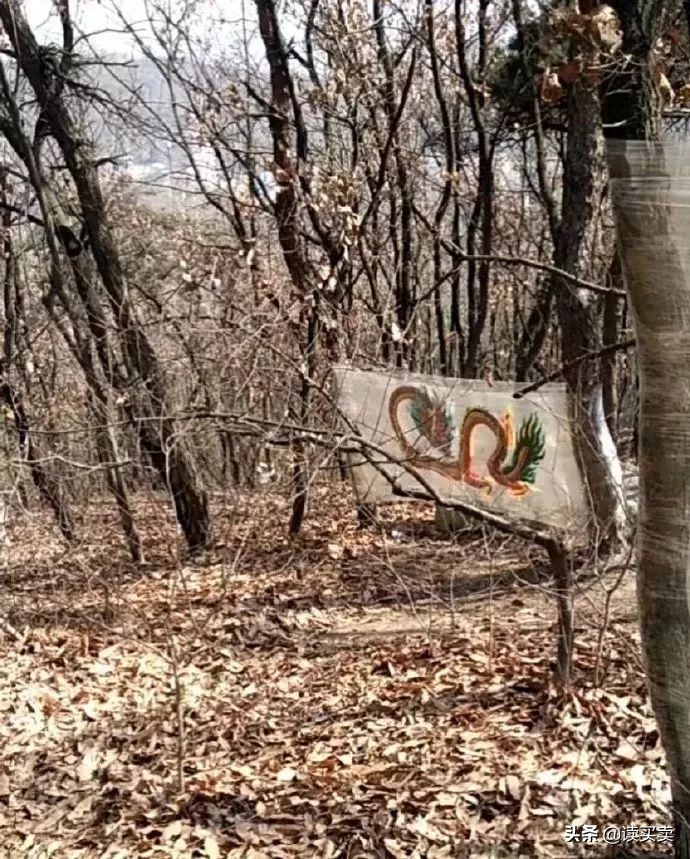 怎么样判断一个男生直不直男,怎么判断一个男的直不直男