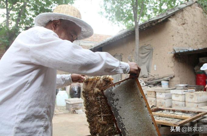 90岁老伯天天劳作，每年能存好几万，干的活还很不错