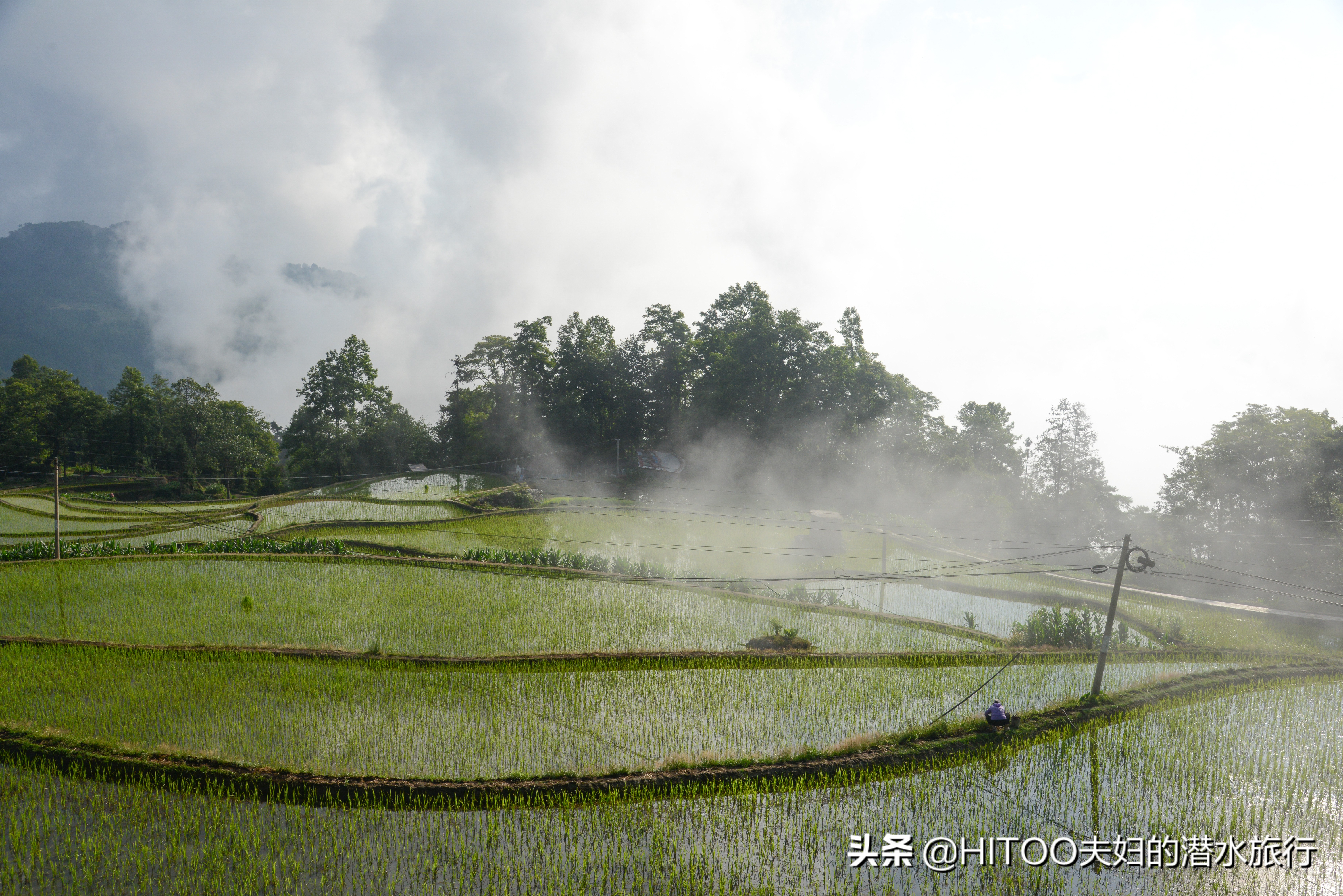 不花钱看元阳梯田自驾攻略,元阳梯田自驾游攻略