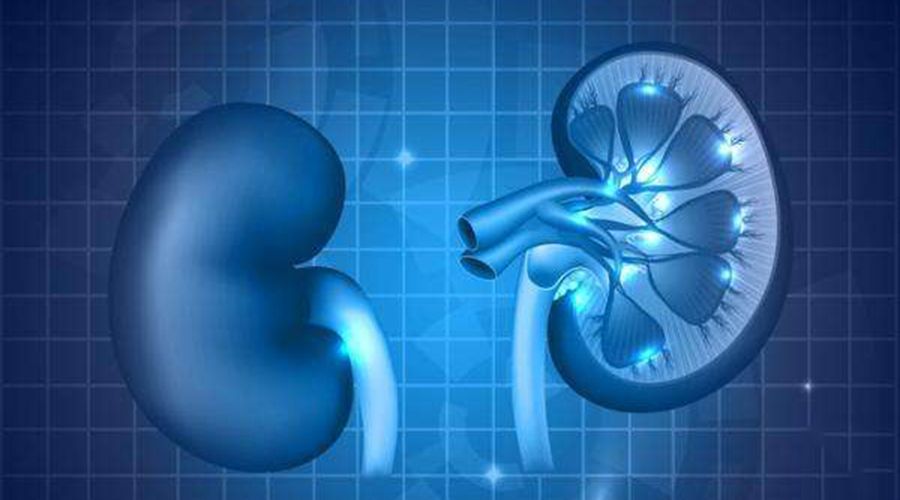 肾癌的早期怎么治疗,如何早发现肾癌的出现