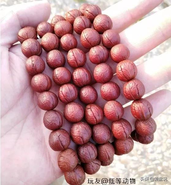 可以包浆的手串,什么手串可以随便盘玩还能包浆