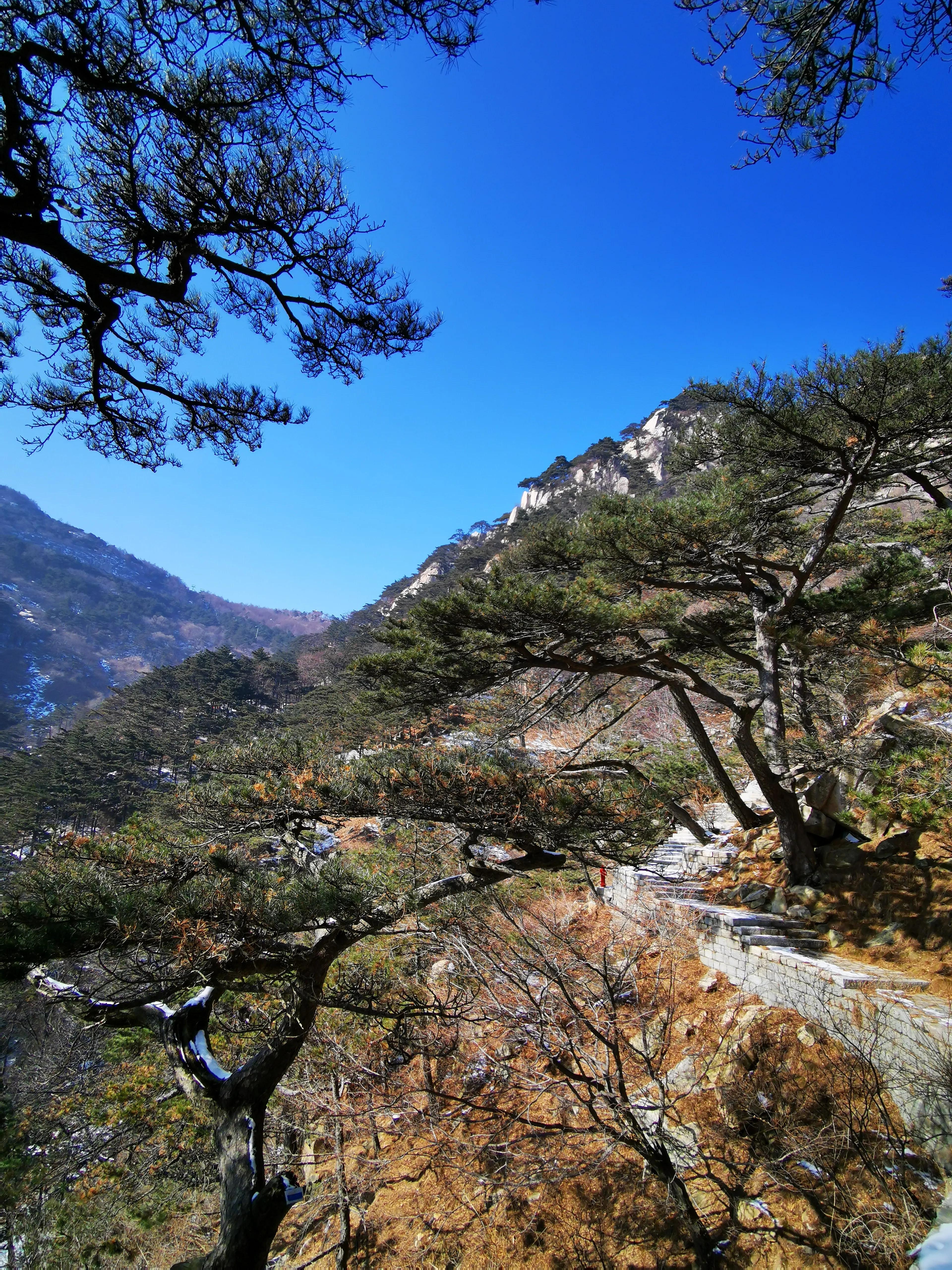 爬泰山攻略,泰山攻略完整版