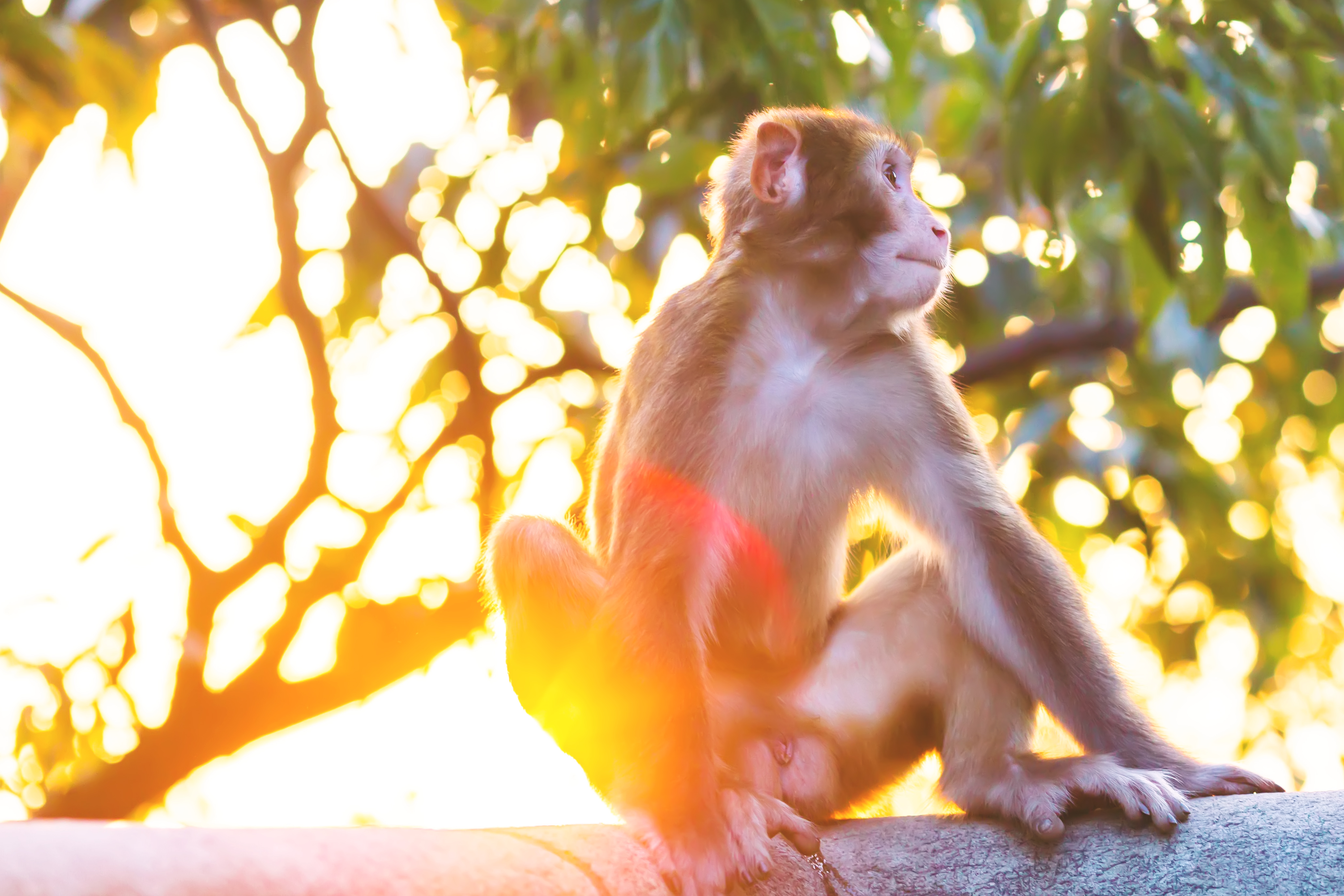 花果山景区的游玩攻略,情侣花果山旅游攻略