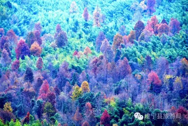 红叶热情似火,金铙胜景如画在醉美的季节遇见你!