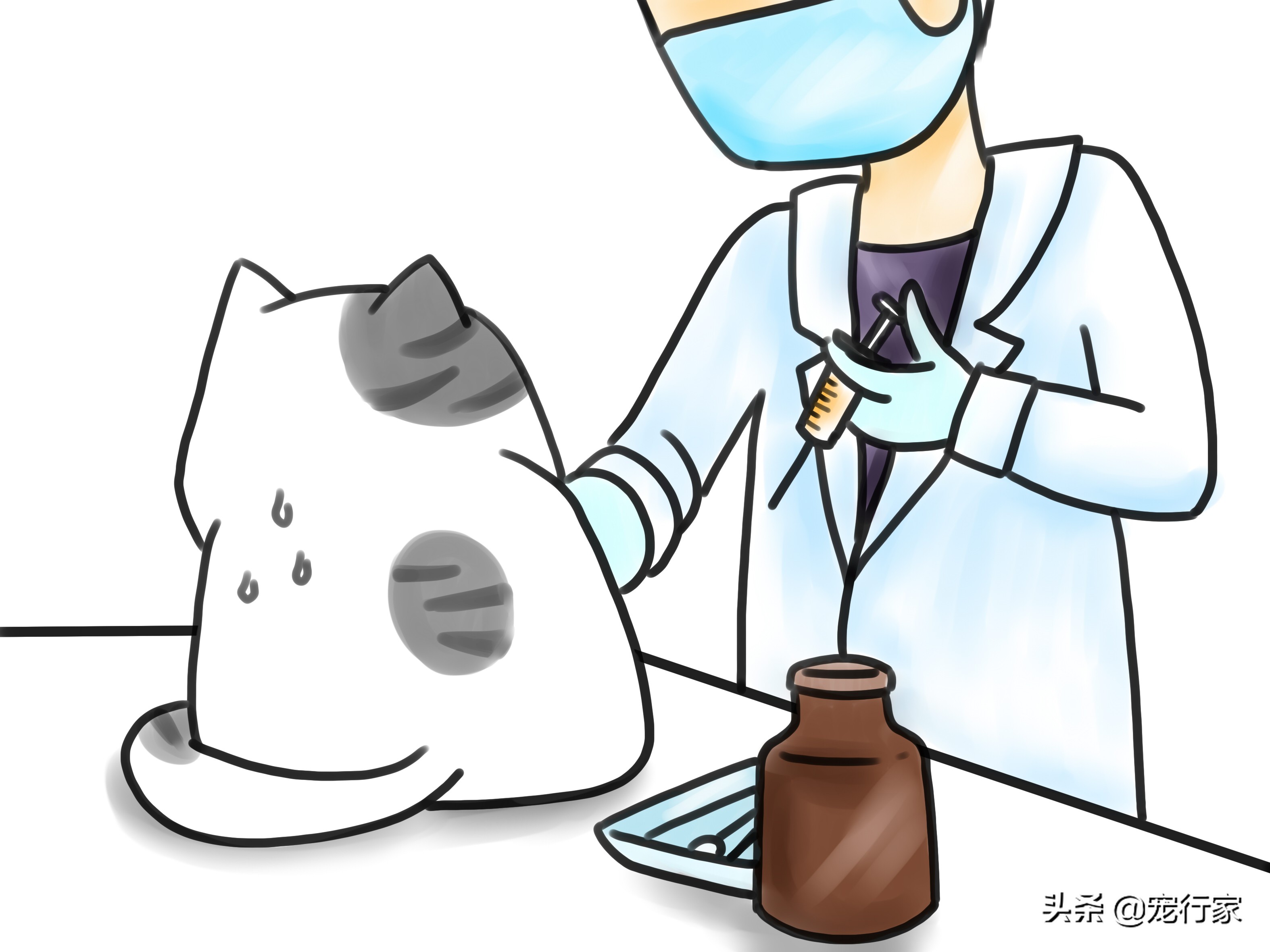 两个多月的猫咪食欲不佳怎么办,猫咪闹情绪不吃东西