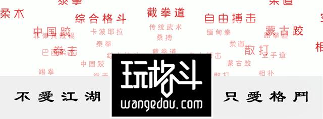 会巴西柔术的动物有多酷？让GroundShark（陆地鲨）告诉你