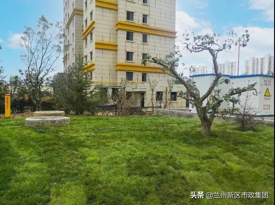 鍏板窞鏂板尯涔惧厓閲戞捣鍥介檯鍥灄缁垮寲,鍖犲績甯傛斂