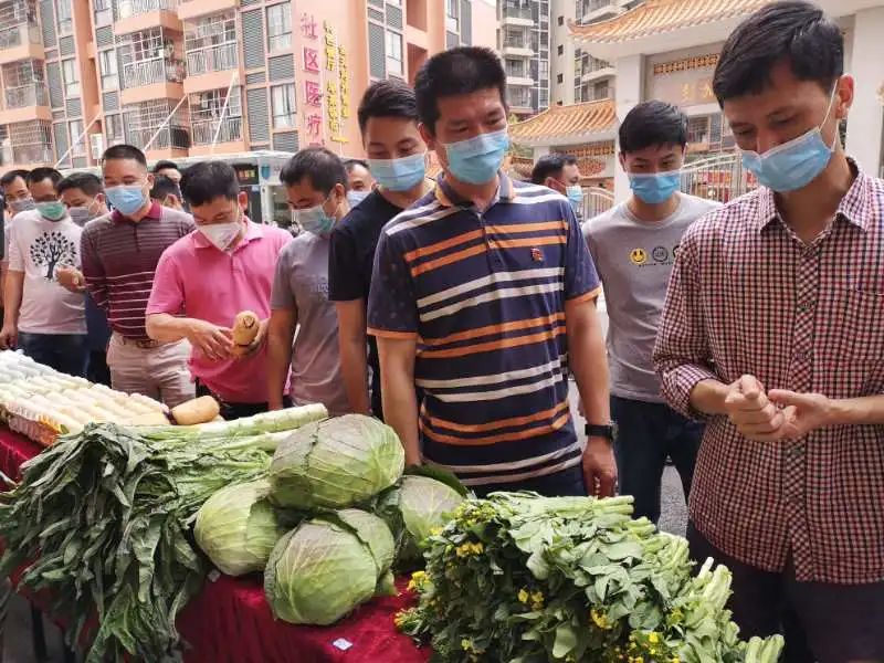 番禺｜爱心速递！松洲街助力近200吨湖北滞销农副产品走进广州千家万户