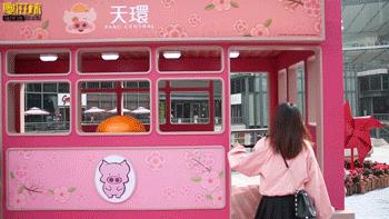 麦兜潮玩,麦兜打卡地