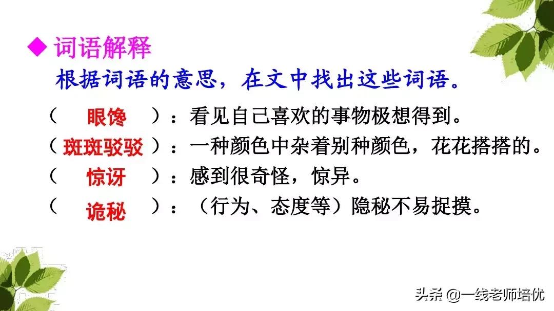 带刺的朋友三年级上册,三年级语文带刺的朋友课文知识点
