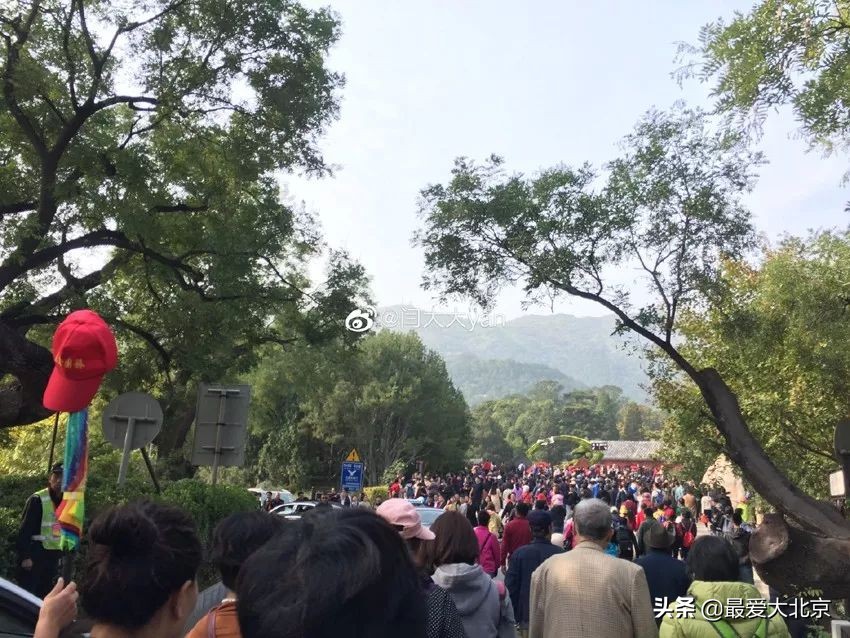 香山红叶几月去最好香山用预约吗,去北京香山看红叶别去爬山吗