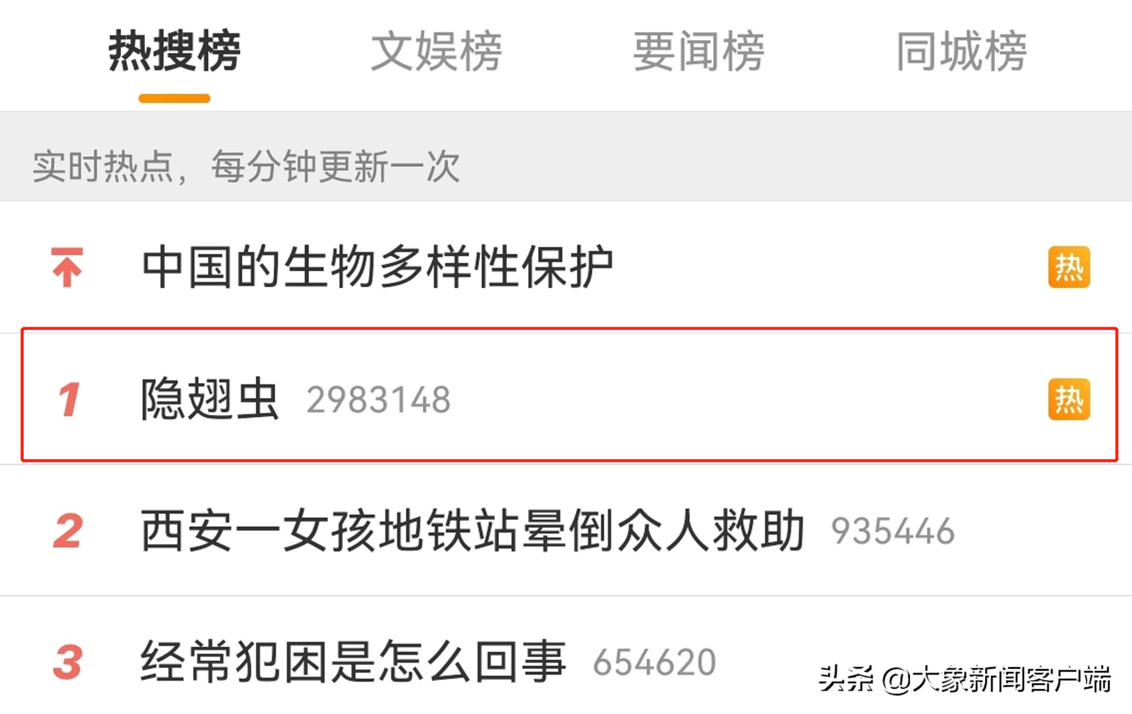 隐翅虫上热搜,一条小虫子上热搜
