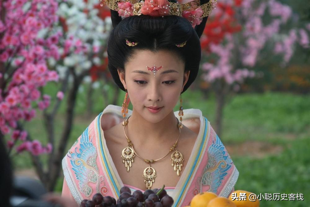 一代才女梅妃被杨贵妃横刀夺爱,梅妃和杨贵妃为什么反目