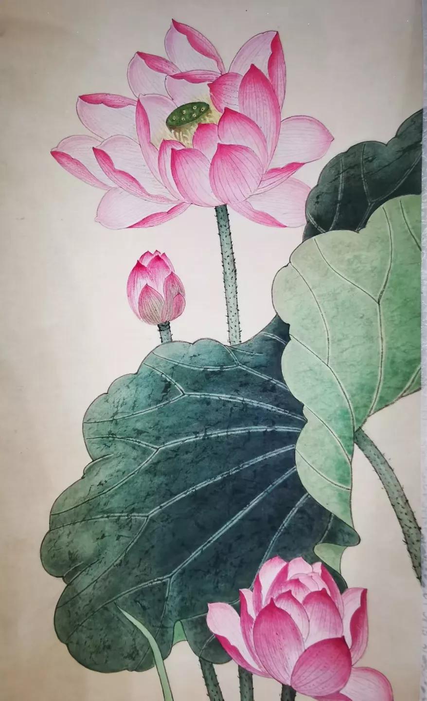 【艺品随录】澹泊自守，墨香飘逸——观毛兰珍工笔画展/平豪撰文