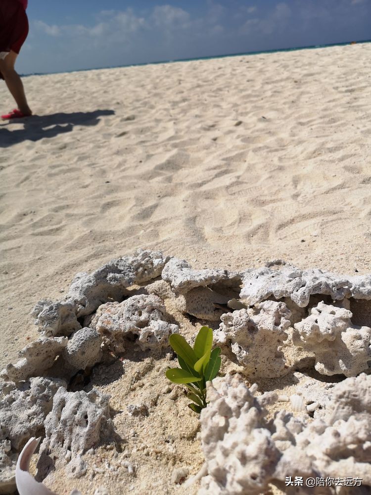南海西沙岛礁全图,南海西沙群岛海域