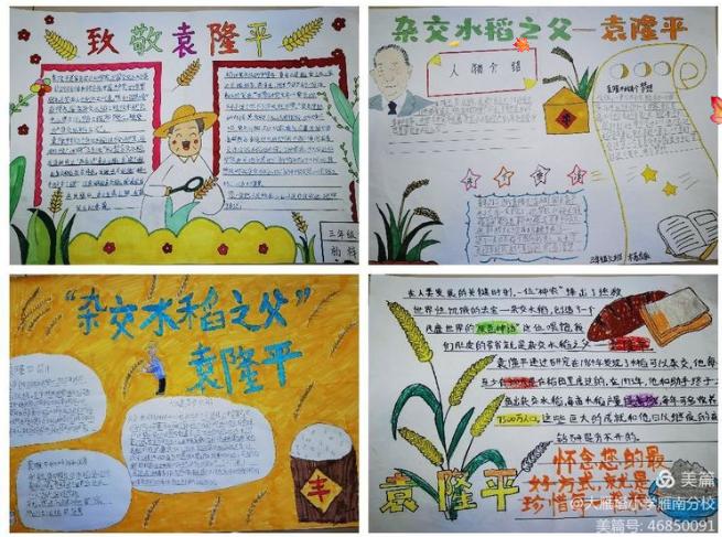 助力双减科普行动学校活动总结,塔前小学科技节活动